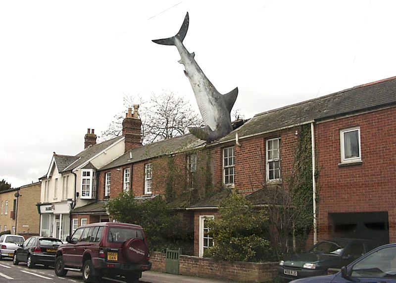 building with shark in roof on CS Lewis Tour