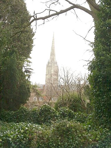 Salisbury Cathedral through the trees