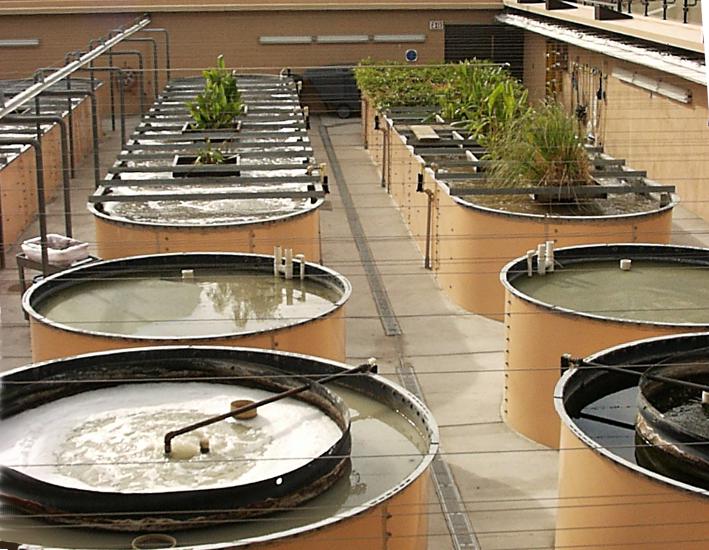 Waste water treatment system