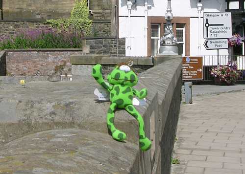 Frog on the Tweed bridge