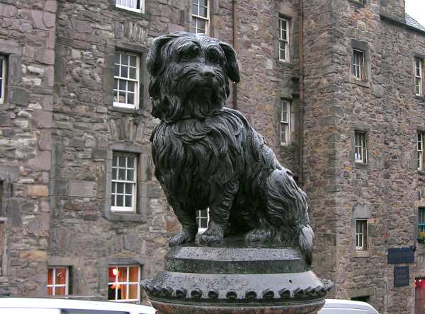 Greyfriars Bobby - dog statue in Edinburgh Scotland