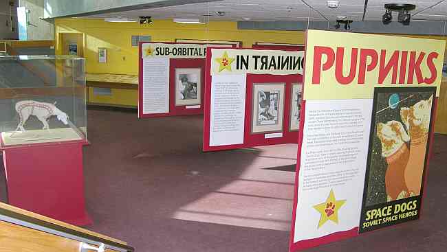 Display devoted to Pupniks - Space Dogs