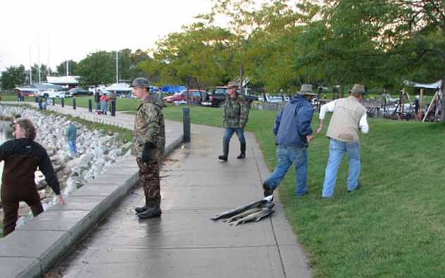 Salmon in Manitowoc, Wisconsin