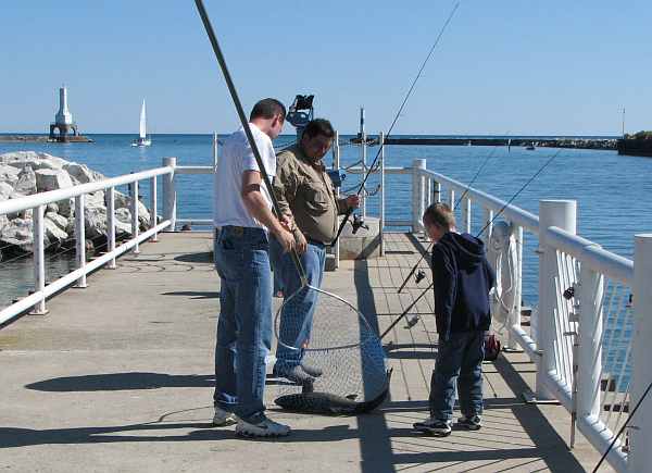 Landing a lake trout at Port Washington, Wisconsin