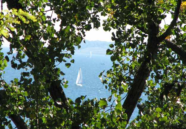 Sailboat on Lake Michigan