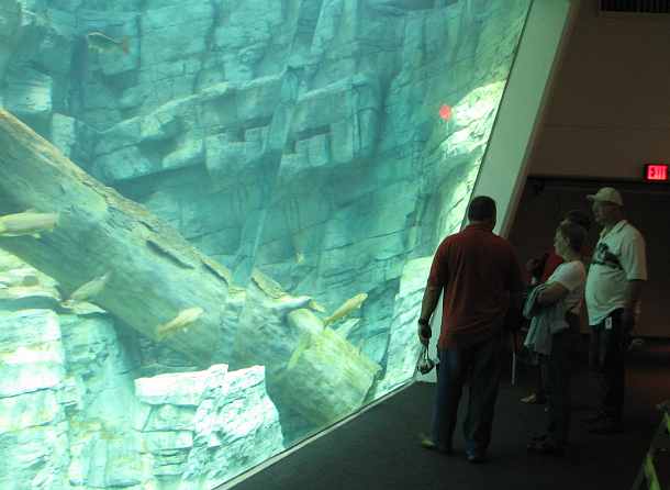 Discovery World Aquarium