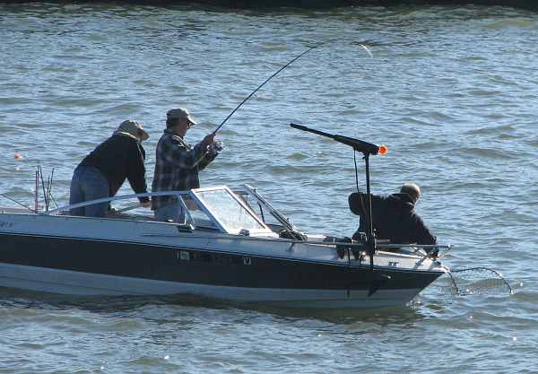 Catching trout in Milwaukee