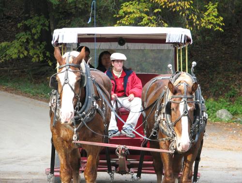 Mackinac Island Carriage Tours - Mackinac Island, Michigan