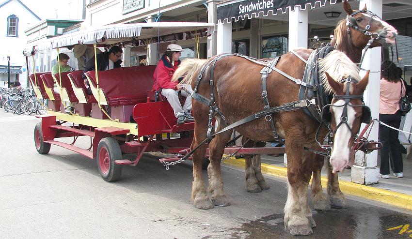 Mackinac Island Carriage Tours