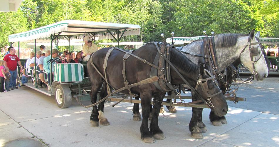 Three hitch carriage - Mackinac Island Carriage Tour