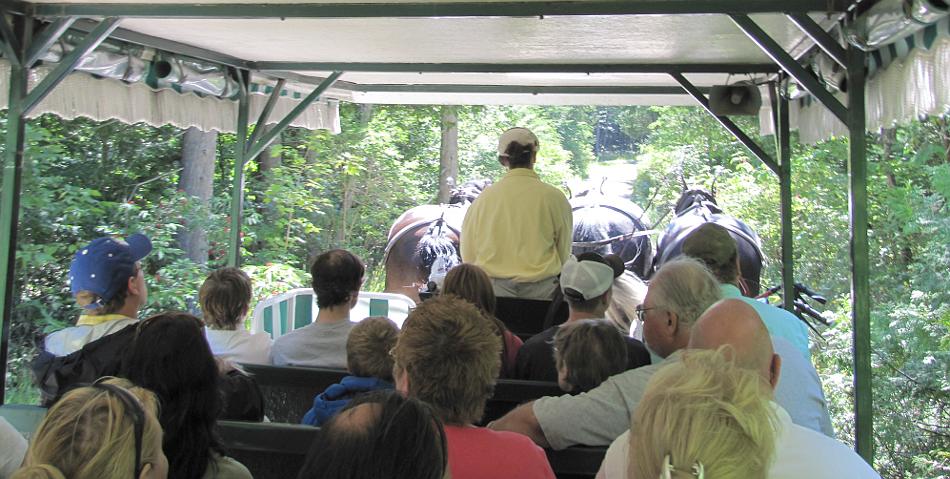 Aboard a Mackinac Island three hitch carriage