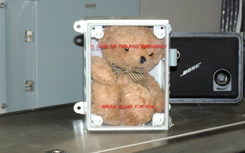 CGC Mackinaw Teddy bear