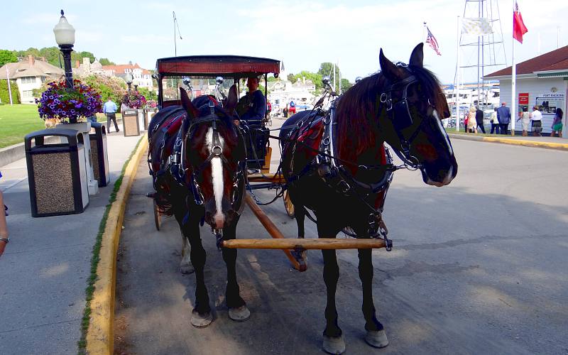 Arrowhead Carriages on Mackinac Island