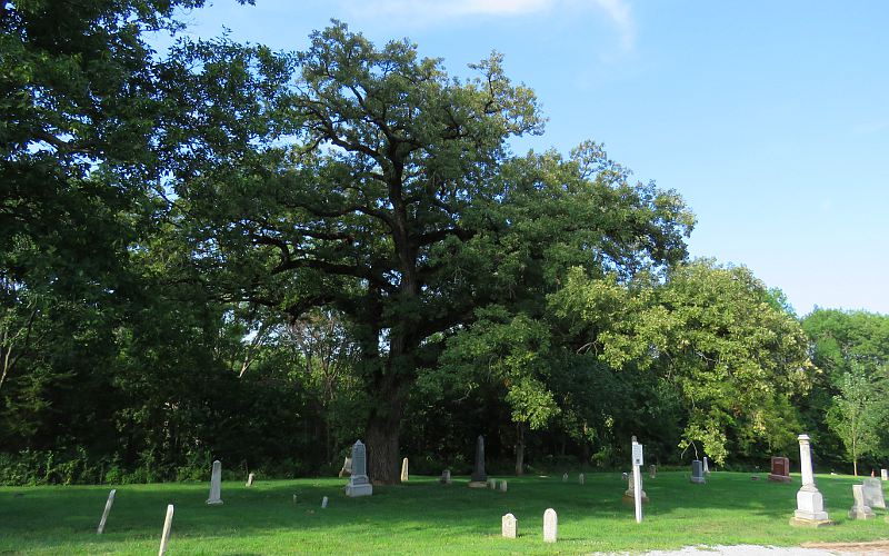 Burr Oak in Nebraska City, Nebraska