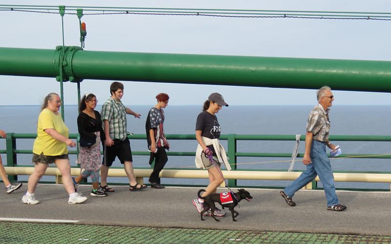 Service dog crossing the Mighty Mac