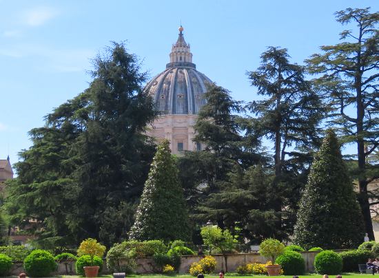 St. Peter's Basilica - Vatican City