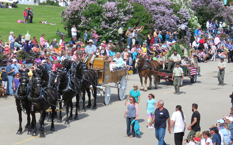 Rices Percherons - Mackinac Island Lilac Parade