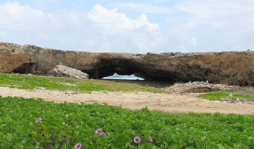 Baby Bridge - Aruba