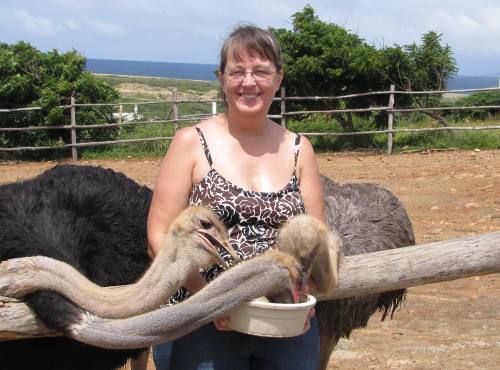 Linda feeding ostriches