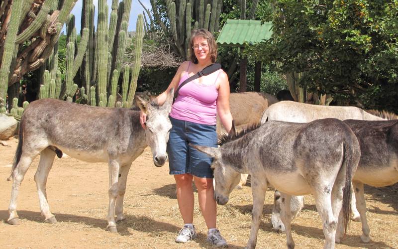 Linda Stokes at Donkey Sanctuary Aruba