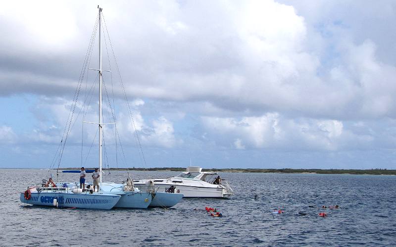 snorkeling on the Antilla shipwreck