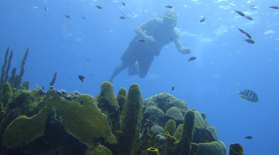 SNUBA on the shipwreck Antilla