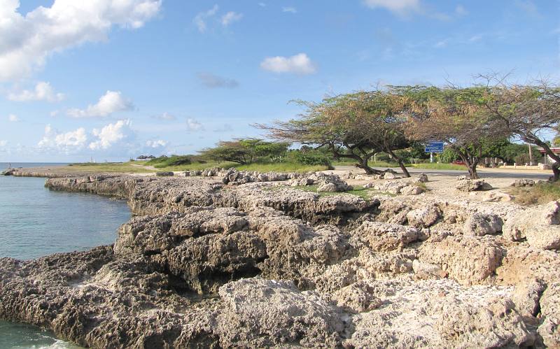 Malmok Beach rocks and trees