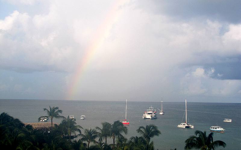 Aruba rainbow