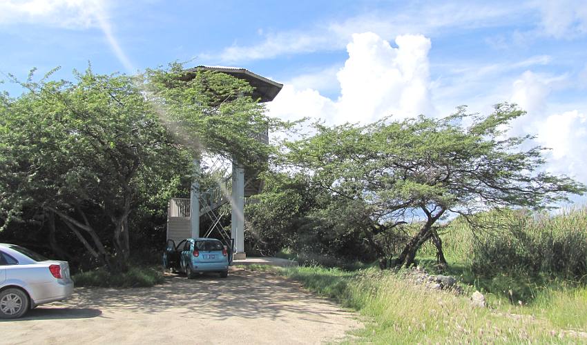 Bubali Bird Sanctuary - Aruba