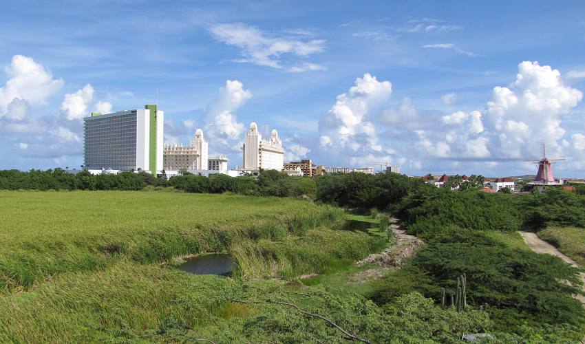 Bubali Bird Sanctuary