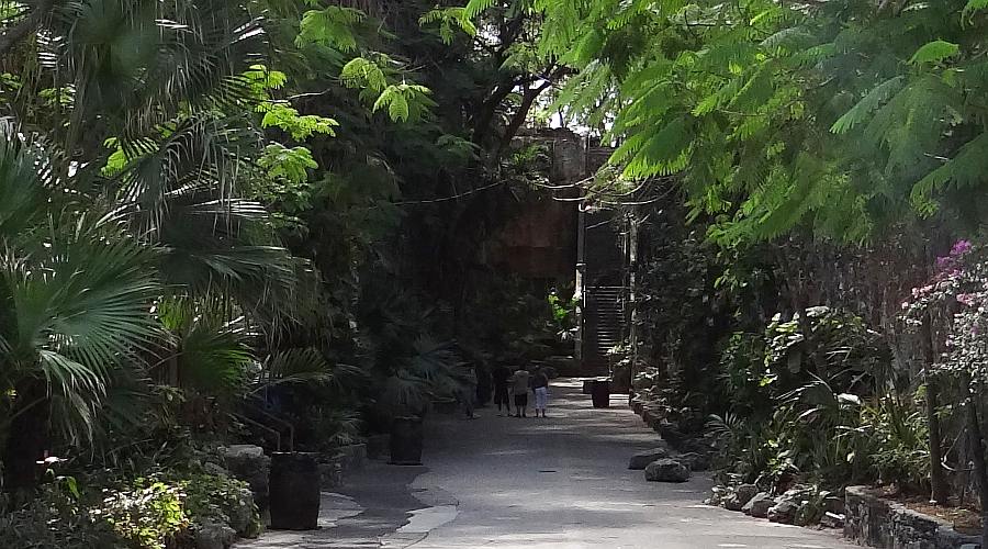 Queen's Staircase - Nassau, Bahamas