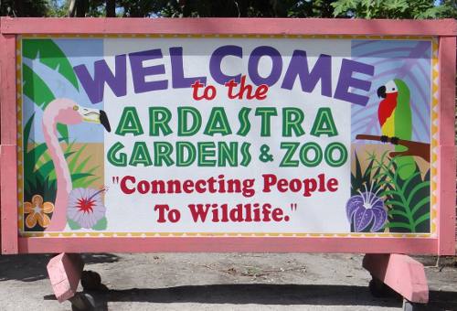 Ardastra Gardens and Zoo