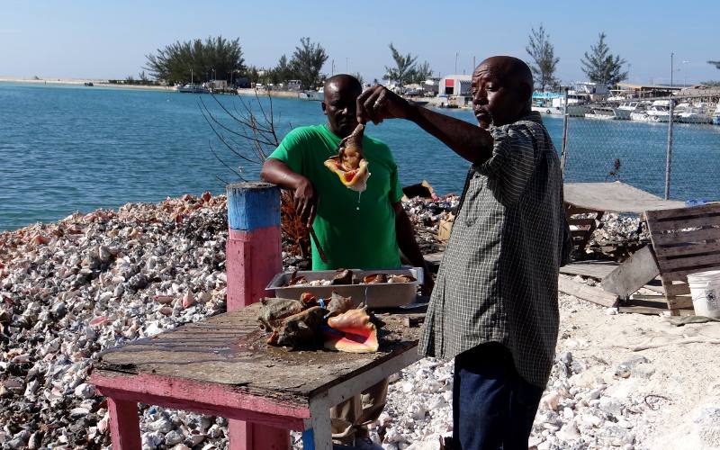 Cleaning conch