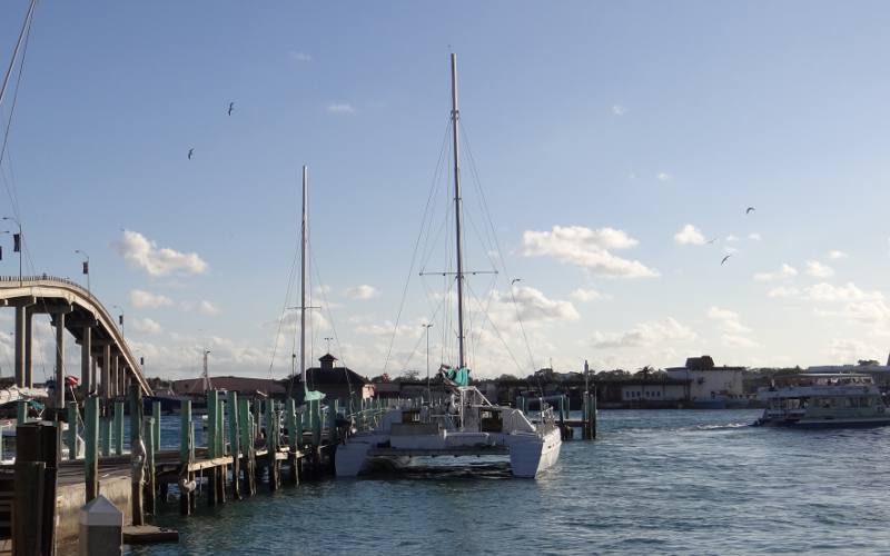 Seahorse Catamaran - Nassau, Bahamas