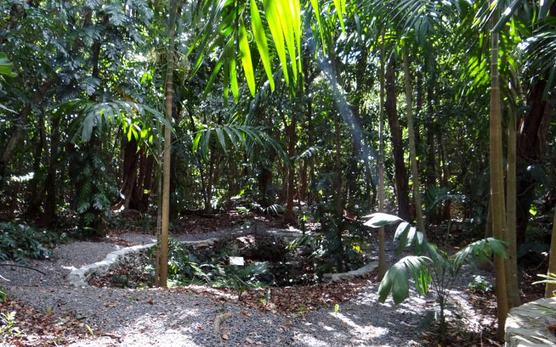 Bahamas Natoinal Trust Retreat Gardens