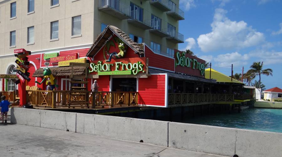 Señor Frog's - Nassau, Bahamas