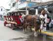 Mackinac Island Carriage Tour