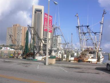 shrimp trawlers (hotel in background on right)