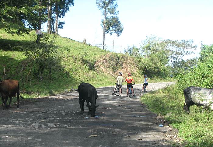 Bike Arenal