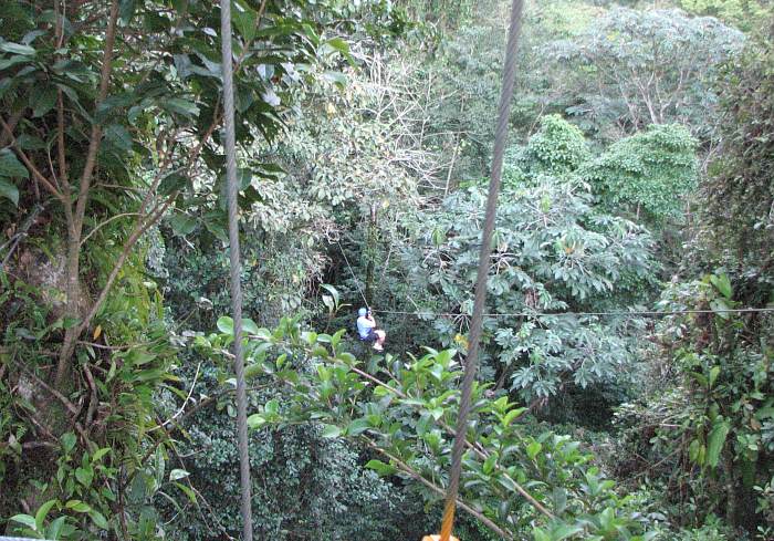 Arenal Canopy Tour