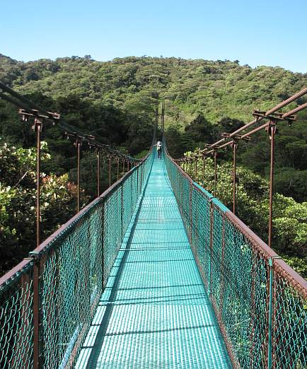 Treetop bridge at Selvatura Park treetop walkways