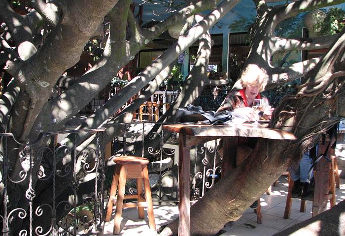 Dining in the Tree House restaurant in Santa Elena, Costa Rica.