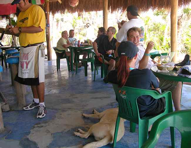 Dog sleeping in Coconuts bar on Cozumel