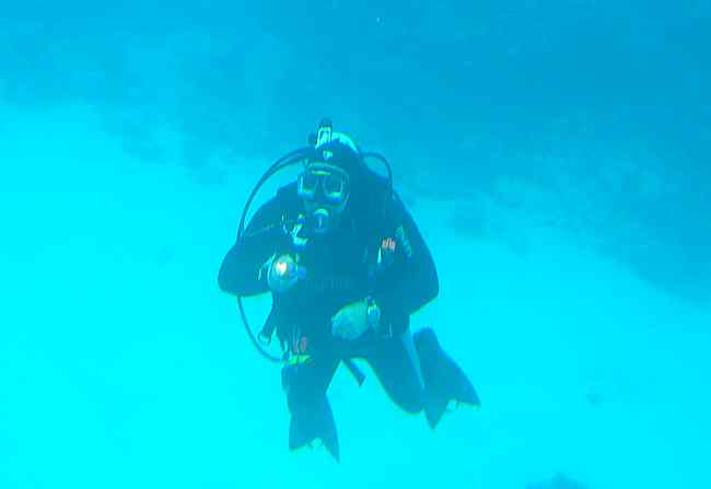 SCUBA diver seen from the Atlantis Submarine