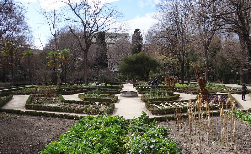 Real Jardn Botanico de Madrid, Spain