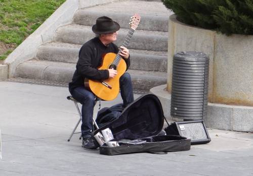 Eurasian Magpie in Parque del Buen Retiro, Madrid