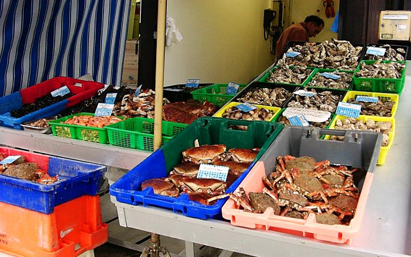 display of Cancale seafood for sale