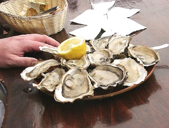 Cancale oysters