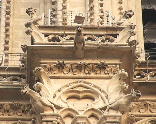 Notre Dame gargoyles