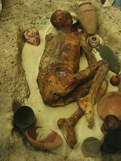 5400 year old mummy called Ginger